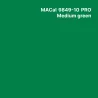 MC9800 couleurs Polymère medium green mat Brillant permanent 7 ans