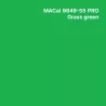 MC9800 BF Couleur Polymère grass green Brillant permanent 7 ans